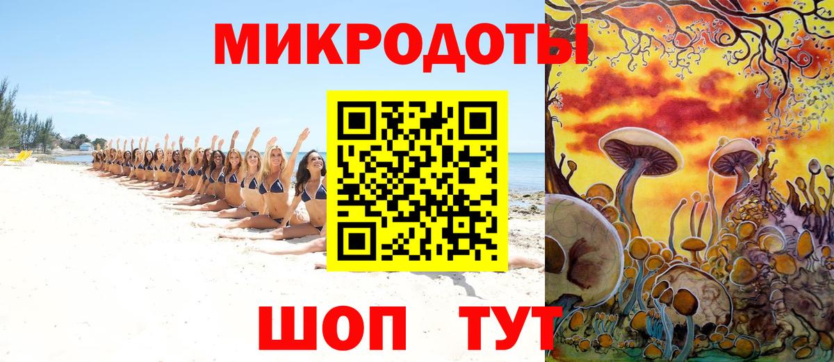 Советская Гавань  Галлюциногенные грибы Psilocybe  Вход с VPN 